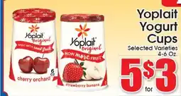 Supremo Foods Inc Yoplait Yogurt Cups offer