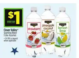 Dollar General Clover Valley Sparkling Water offer
