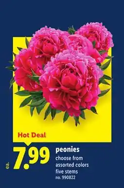Lidl Peonies offer