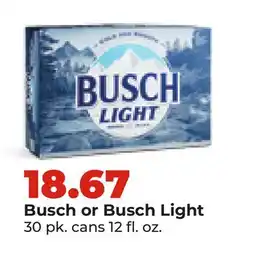 Hy-Vee Busch or Busch Light offer