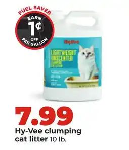 Hy-Vee Hy-Vee clumping cat litter offer