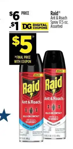 Dollar General Raid offer