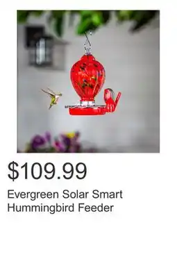 Costco Evergreen Solar Smart Hummingbird Feeder offer