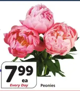 Vons Peonies offer