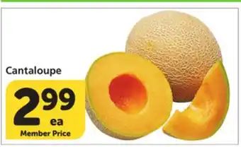 Vons Cantaloupe offer