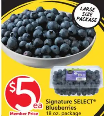 Vons Signature SELECT Blueberries offer