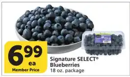 Vons Signature SELECT Blueberries offer