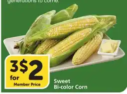 Vons Sweet Bi-color Corn offer