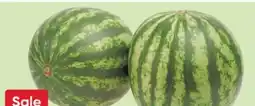 Stater Bros Mini Watermelons offer