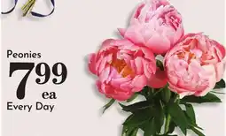 Pavilions Peonies offer