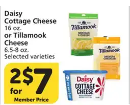 Albertsons Daisy Cottage Cheese 16 oz. or Tillamook Cheese 6.5-8 oz offer
