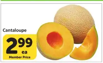 Albertsons Cantaloupe offer