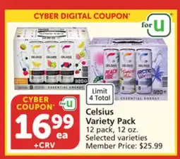 Albertsons Celsius Variety Pack offer