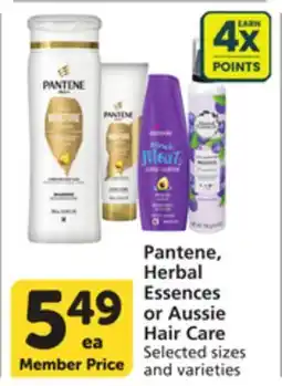 Albertsons Pantene, Herbal Essences or Aussie Hair Care offer
