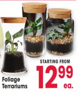 Jewel-Osco Foliage Terrariums offer