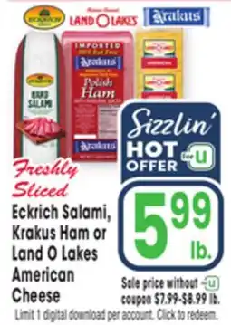 Jewel-Osco Eckrich Salami, Krakus Ham or Land O Lakes American Cheese offer