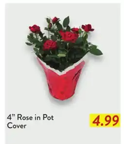 Fresh Thyme 4 Rose in Pot Cover offer