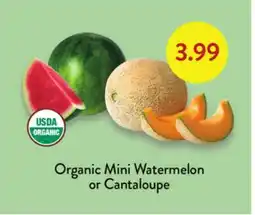 Fresh Thyme Organic Mini Watermelon or Cantaloupe offer