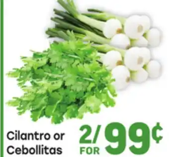 Tony’s Fresh Market Cebollitas offer
