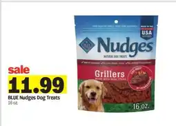 Meijer Blue Nudges Dog Treats offer