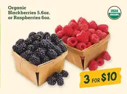 Sprouts Farmers Market Organic Blackberries 5.6oz. or Raspberries 6oz offer