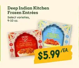 Sprouts Farmers Market Deep Indian Kitchen Frozen Entrées offer