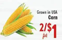 Rio Valley Market Corn offer