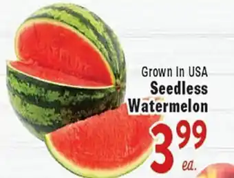 Rio Valley Market Seedless Watermelon offer