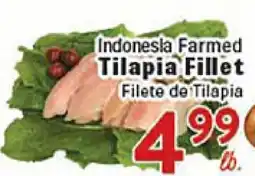 Rio Valley Market Indonesia Farmed Tilapia Fillet offer