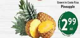 Rio Valley Market Pineapple offer