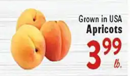 Rio Valley Market Apricots offer