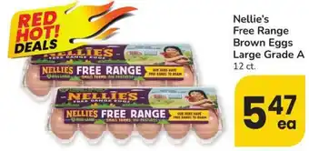 Nellie's Free Range Brown Eggs Large Grade A