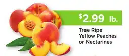 Heinen's Tree Ripe Yellow Peaches or Nectarines offer
