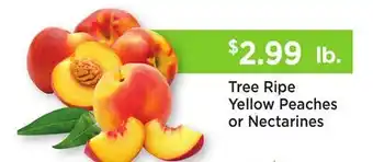 Heinen's Tree Ripe Yellow Peaches or Nectarines offer