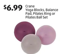 Aldi Crane Yoga Blocks, Balance Pad, Pilates Ring or Pilates Ball Set offer