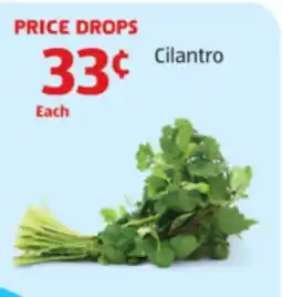 Aldi Cilantro offer