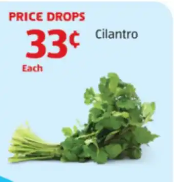 Aldi Cilantro offer