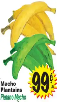 Superior Grocers Macho Plantains offer