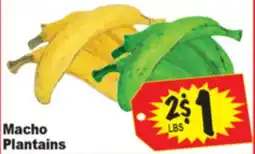 Superior Grocers Macho Plantains offer