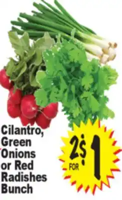 Superior Grocers Cilantro, Green Onions or Red Radishes Bunch offer