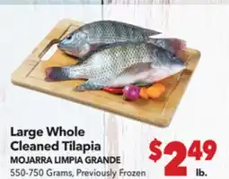 Vallarta Supermarkets Large Whole Cleaned Tilapia / MOJARRA LIMPIA GRANDE offer