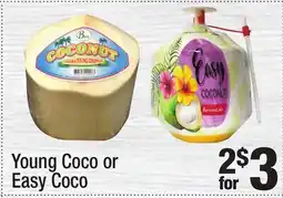 Super King Markets Young Coco or Easy Coco offer