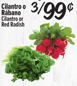 El Super Cilantro or Red Radish offer