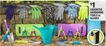 Dollar Tree Assorted Gardening Tools Or Gloves offer