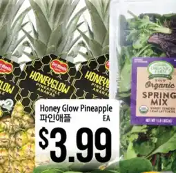 Hmart Honey Glow Pineapple offer