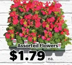 Living Fresh Market Assorted Flowers offer