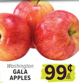 Cermak Fresh Market Washington GALA APPLES offer