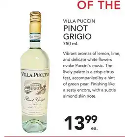 Pete's Fresh Market VILLA PUCCIN PINOT GRIGIO offer