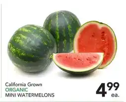 Pete's Fresh Market California Grown ORGANIC MINI WATERMELONS offer