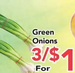 Eurofresh Market Green Onions offer